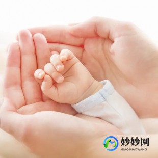 高龄试管买哪个保险哪个保险公司买试管保险