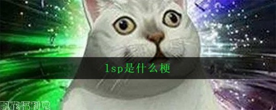 lsp,lsp什么梗,LSP梗解析,网络热词背后的调侃与自嘲