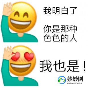 lsp是什么意思啊,lsp是什么梗,揭秘LSP梗,老色批背后的调侃与游戏文化解析