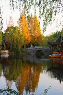 上海地图 丁丁,丁丁地图 上海地图,丁丁地图带你玩转上海,探索魔都的隐藏