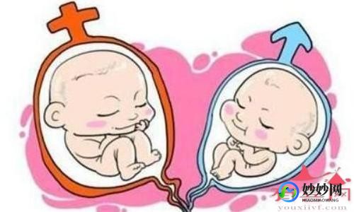 一胎自然受孕二胎试管—一胎自然受孕二胎想试管双胞胎