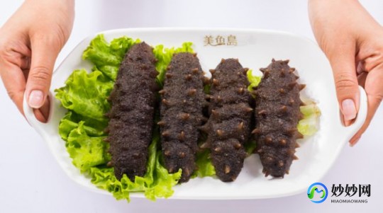 驼奶粉和海参哪个更好;驼奶粉和海参哪个好
