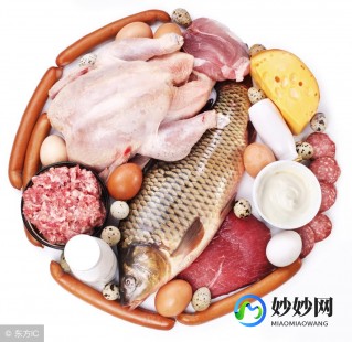 什么动物天生有高血压,那种动物天生高血压,揭秘,哪种动物竟天生高血压？探秘神秘