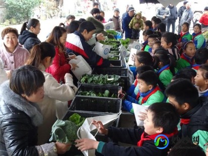 qq农场进不去了,QQ农场无法进入？手游玩法攻略与问题解决指南