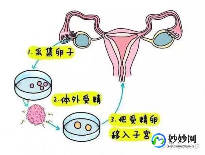 弱精试管成功率大吗重度弱精试管成功率高吗
