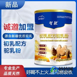 襄汾骆驼奶粉怎么样(驼天下骆驼奶粉怎么样)