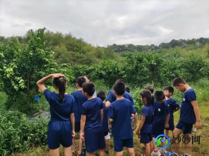 农场进不去怎么办,QQ农场无法进入？手游玩法攻略与问题解决指南