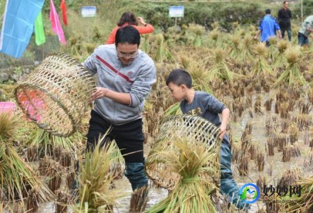 农场进不去怎么办,QQ农场无法进入？手游玩法攻略与问题解决指南