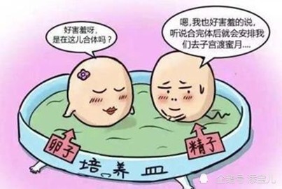 弱精如何做试管婴儿弱精可以做试管婴儿吗