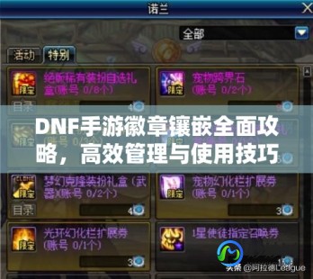 dnf徽章怎么镶嵌,dnf白金徽章怎么镶嵌,DNF手游白金徽章镶嵌攻略