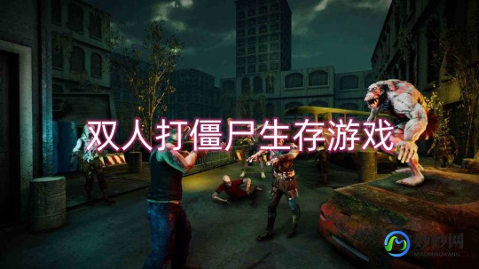 双人打僵尸5,双人打僵尸4399,双人打僵尸4399手游攻略,携手战友,共抗僵