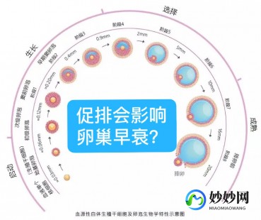 做了试管会卵巢早衰吗 做试管会引起卵巢早衰吗