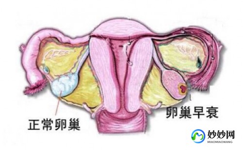 做了试管会卵巢早衰吗 做试管会引起卵巢早衰吗