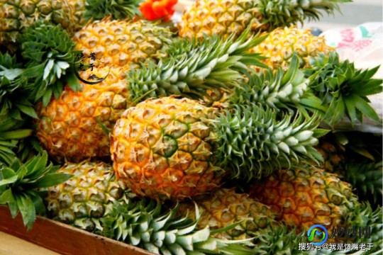 吃菠萝是什么性暗示,菠萝挑战