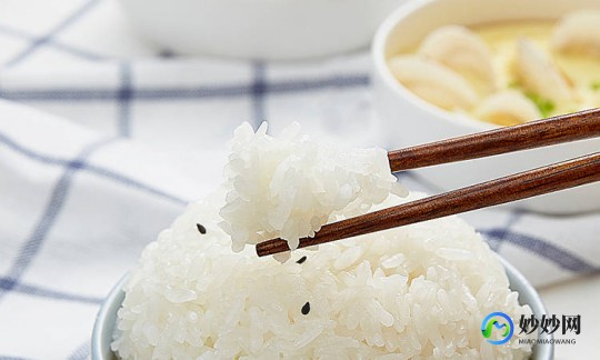 四平卖双皮奶粉在哪里温州双皮奶粉店进货渠道在哪里