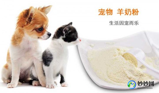 羊奶粉马犬吃到几个月_羊奶粉狗狗吃到几个月