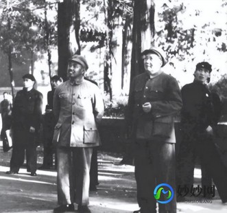 双人打僵尸4399,4399双人打僵尸,4399双人打僵尸携手战友,共抗僵尸狂潮!