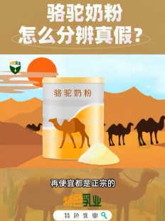 怎么样辨别骆驼奶粉-怎么样辨别骆驼奶粉的真假