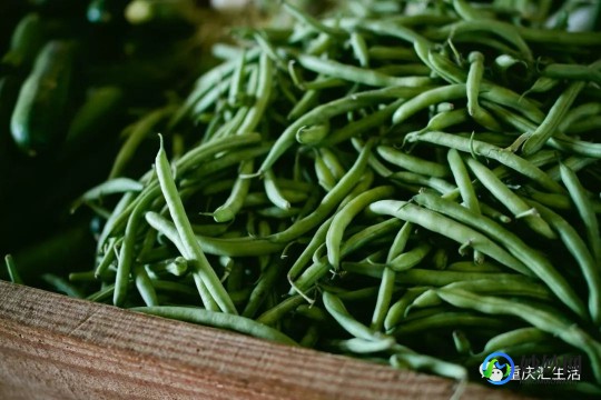 九月青豆角,九月青豆角产自哪里,九月青豆角原产地揭秘