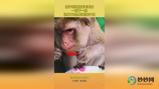 猴子吃干奶粉会怎么样吗,猴子吃蜂蜜会怎么样