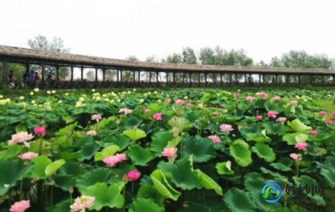 手机qq2010官方下载正式版免费下载,手机qq2010正式版,手机QQ2010正式版全新上线,开启掌上社交