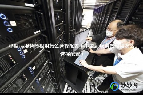 小旋风asp服务器,小旋风ASPWebServer