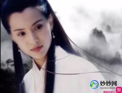 大乐斗小龙女,Q宠大乐斗赵敏角色深度解析与实战攻略