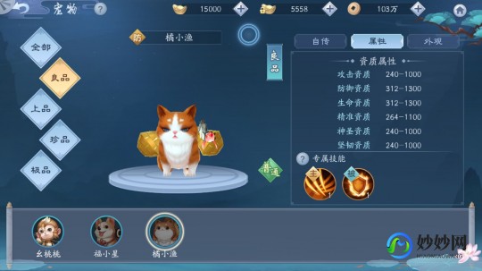 新飞飞加点,新飞飞手游宠物加点全攻略,打造你的专属战宠!