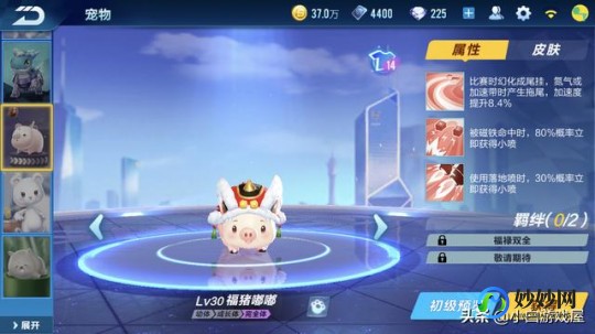 新飞飞加点,新飞飞手游宠物加点全攻略,打造你的专属战宠!