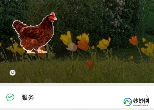 wx状态怎么养宠物,wx状态怎么养宠物,wx状态养宠物,轻松实现云养宠梦想!