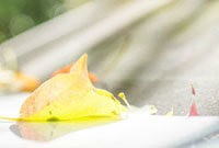 淮安掼蛋网下载,淮安掼蛋网,淮安掼蛋网手游攻略,玩转掼蛋,成为真正的掼蛋