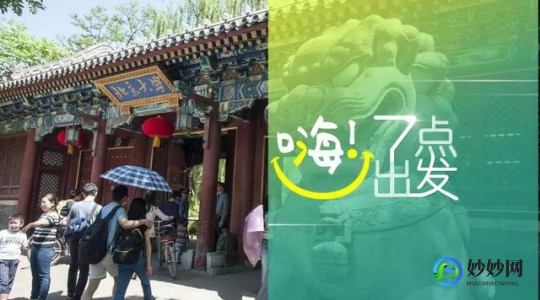 河南商都茶苑,商都茶苑信阳黑七,商都茶苑信阳黑七,手游攻略与玩法详解
