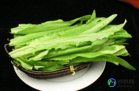 油麦菜和以下哪种蔬菜是亲戚,揭秘油麦菜的亲戚蔬菜