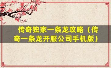 开传奇一条龙,传奇开服一条龙,传奇开服一条龙全新攻略,打造你的游戏传奇!