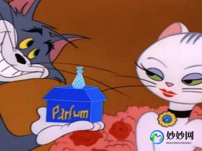 汤姆的情书,汤姆猫的情书攻略,赢得猫咪芳心的秘诀