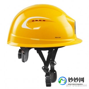 现代安全帽是受到什么动物的启发,现代安全帽设计灵感揭秘,源自这种神奇动物!