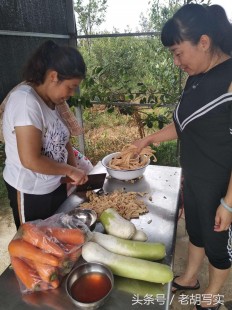 煮绿豆汤蚂蚁庄园,绿豆汤奇遇,蚂蚁庄园手游全新攻略
