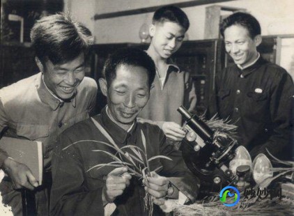 脸盆网捏橘子,捏橘子小游戏,轻松解压,乐趣无穷