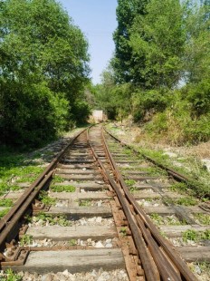 火车跟铁轨哪个先发明出来,火车与铁轨,谁先行于世？