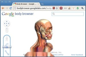 谷歌人体浏览器,google人体浏览器,Google人体浏览器带你探索人体奥秘