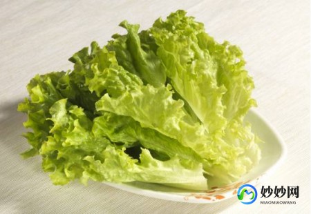 茴香和生菜哪个含盐量高,生菜和茴香哪个含盐量高,生菜与茴香,蔬菜中的盐值之战,手