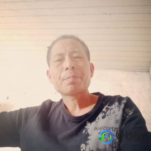 系统维护换不了头像,wx换头像系统维护,wx换头像功能因系统维护暂停使用,用