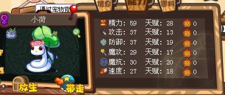洛克王国小荷练级,洛克王国小荷探秘与攻略