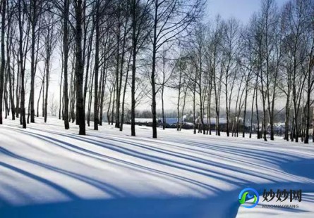 诛仙雪国特使,诛仙雪国特使,诛仙雪国特使,探秘神秘雪域,解锁新篇章!