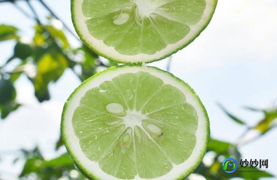 香菜和柠檬哪个维生素C含量高,香菜和柠檬哪个维生素c含量高,香菜与柠檬,维生素C的王者之