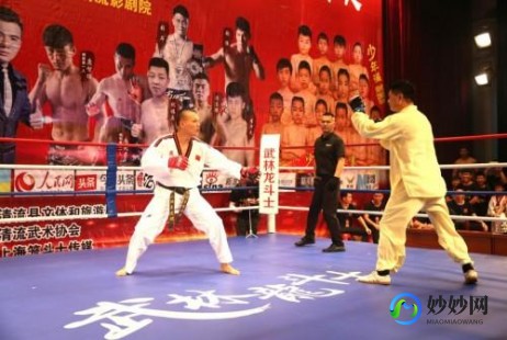 龙斗士编辑器,4399龙斗士编辑器,游戏新体验,轻松掌控战局