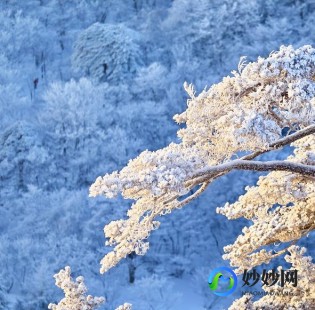 穿越火线飞天,穿越火线飞天挂,穿越火线