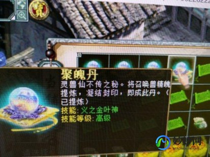大话3序列号,大话西游3自由人序列号,大话西游3自由人序列号,开启你的独