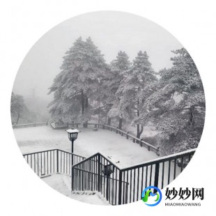 飞雪桌面日历破解,飞雪桌面日历免费版,手游玩家的时间管理神器