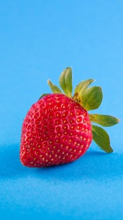 蔬菜大战水果,蔬菜大战水果